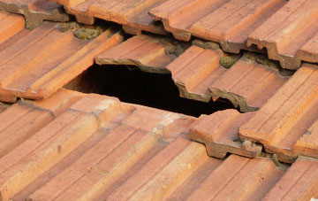 roof repair Lower Frankton, Shropshire