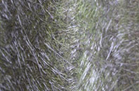 Lower Frankton fibreglass roof work